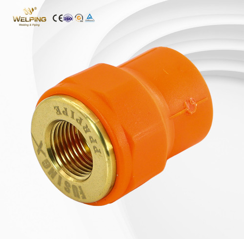 PN25 PP-R Female Socket Water Pipe Fiitings Hot Melt Welding