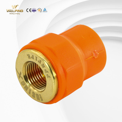 PN25 PP-R Female Socket Water Pipe Fiitings Hot Melt Welding