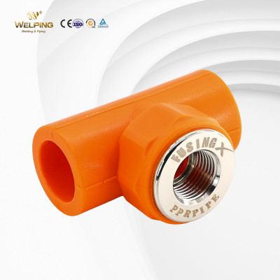 PPR Pipe Fittings PPR Female Tee Warm Water Pipe Polypropylene Fittings Fusion Welding