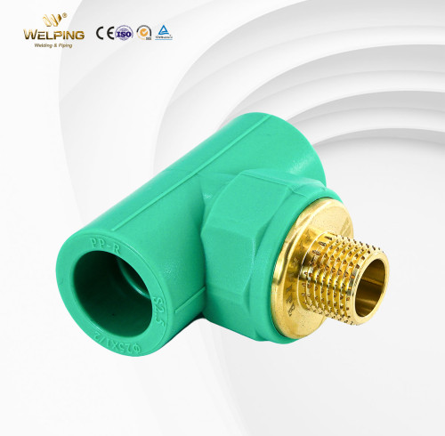 Male Tee Outer Threading Fittings For PPR Pipe Connection