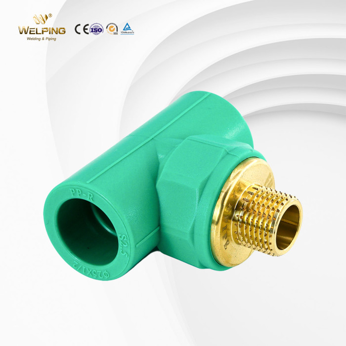Male Tee Outer Threading Fittings For PPR Pipe Connection
