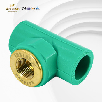 PPR Female Tee Warm Water Pipe Polypropylene Fittings Fusion Welding