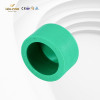 PPR Fitting PPR End Cap Fittings Hot Water Pipe Fittings