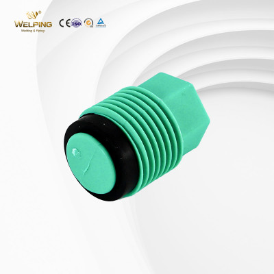 PPR Fitting PPR Plug Fittings Hot Water Pipe Fittings