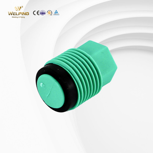 PPR Fitting PPR Plug Fittings Hot Water Pipe Fittings