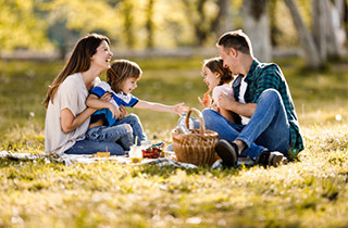 Applications of Bamboo Chopsticks, Picnics