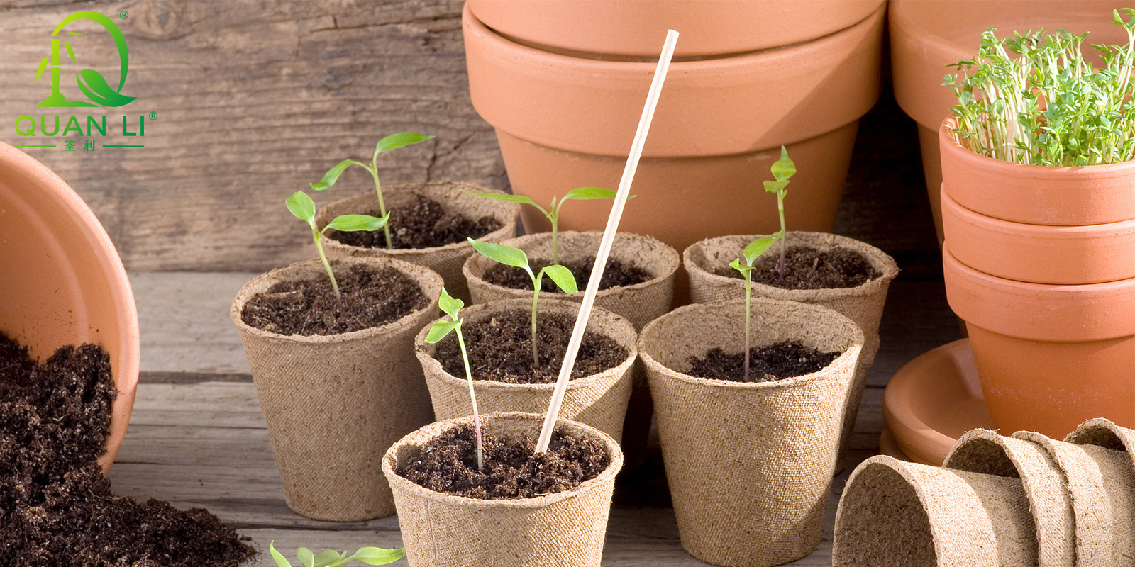 Natural Bamboo Plant Stakes