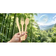 EU Single-Use Plastics Ban 2026: A Complete Compliance Guide for Bamboo Tableware Importers