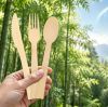 Bamboo Cutlery and PPWR: Is It a Future-Proof Choice for EU Buyers?