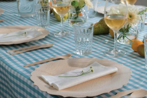 Advantages of Disposable Bamboo Tableware When Hosting a Party