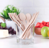 Here's What You Need to Know About Disposable Bamboo Tableware!