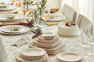 How to Choose the Right Disposable Bamboo Tableware for Your Business Needs