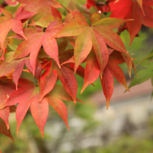 Start of Autumn: Seasonal Inspiration Meets Sustainable Manufacturing