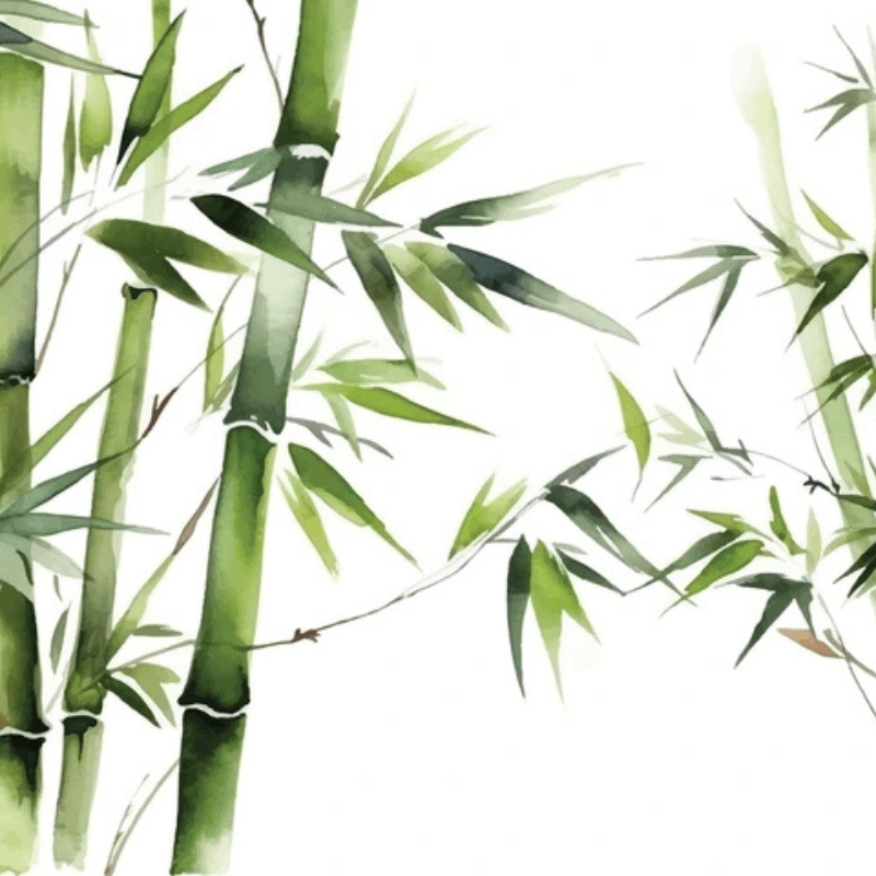 Eco-Friendly Bamboo Food Skewers
