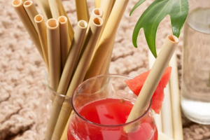 Which is the most eco-friendly: bamboo straw, metal straw, or paper straw?