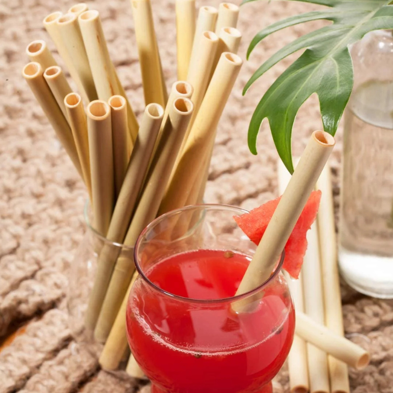 Which is the most eco-friendly: bamboo straw, metal straw, or paper straw?