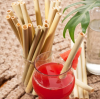 Which is the most eco-friendly: bamboo straw, metal straw, or paper straw?