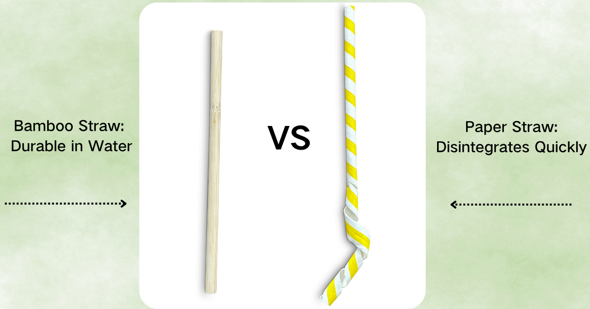 Bamboo straw vs paper straw in water