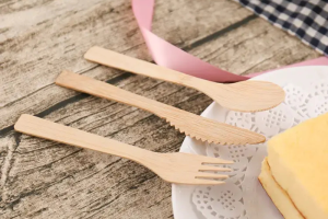 What are the usage and benefits of biodegradable bamboo cutlery?