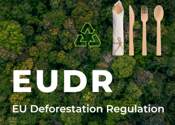 EU Deforestation Regulations (EUDR) and the Regulatory Advantage of Bamboo Tableware