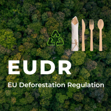 EU Deforestation Regulations (EUDR) and the Regulatory Advantage of Bamboo Tableware