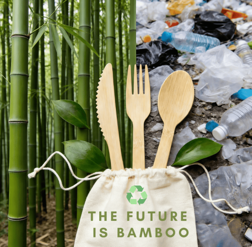 Bamboo as a Substitute for Plastic: The Non-Negotiable Choice for 2026