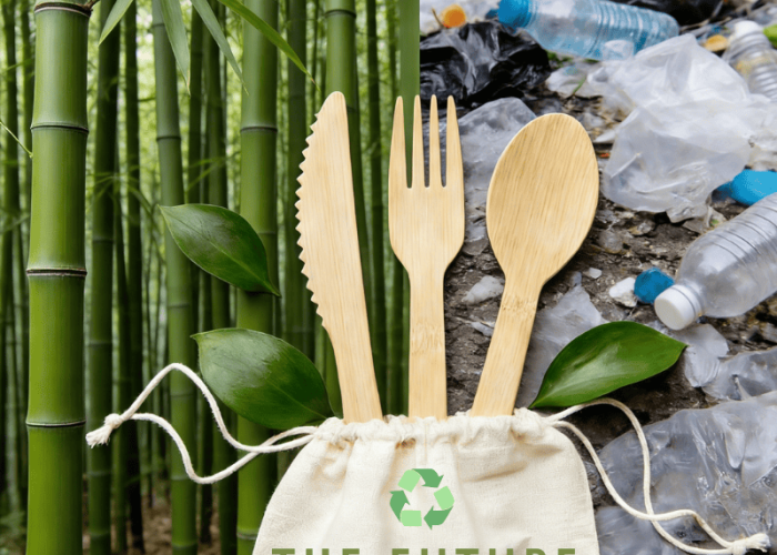 Bamboo as a Substitute for Plastic: The Non-Negotiable Choice for 2026