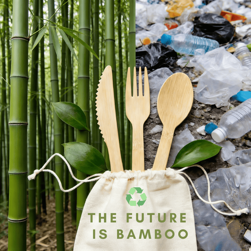 Bamboo as a Substitute for Plastic: The Non-Negotiable Choice for 2026