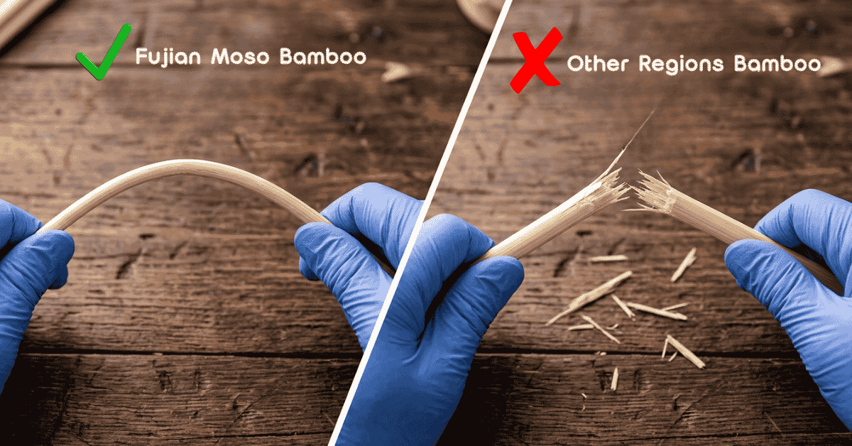 Fujian Moso bamboo skewer bending vs. other region bamboo snapping
