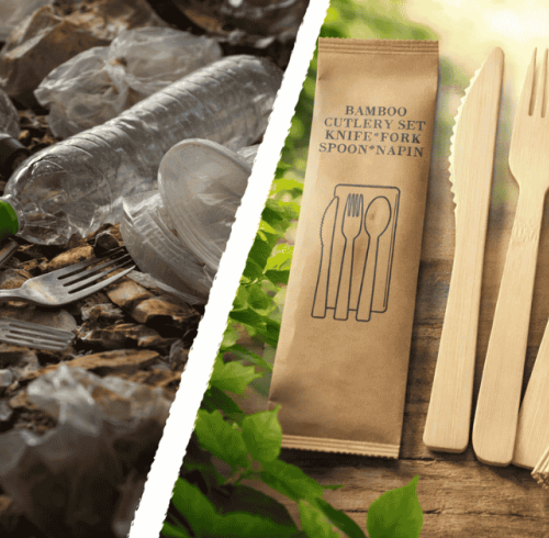 How China's "Bamboo for Plastic" Policy Drives Global Sustainability