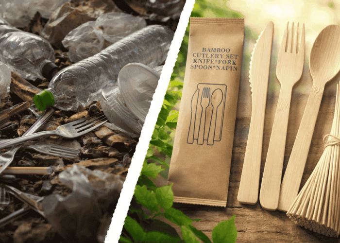 How China's "Bamboo for Plastic" Policy Drives Global Sustainability