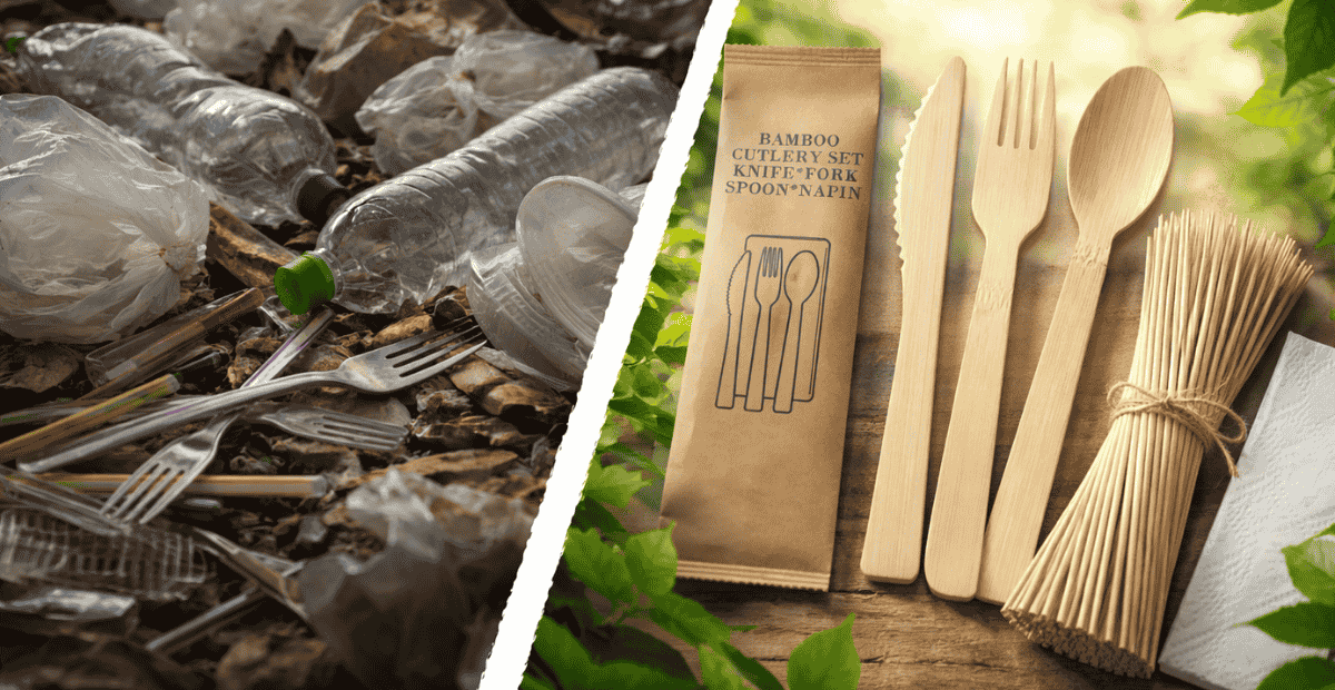 How China's "Bamboo for Plastic" Policy Drives Global Sustainability