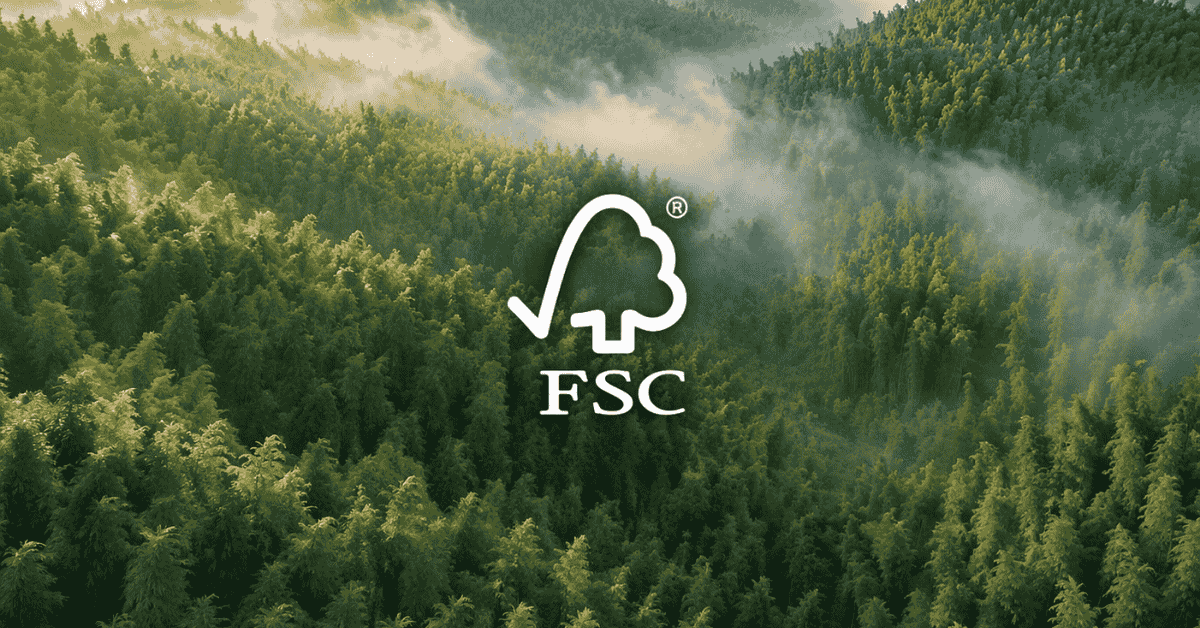 FSC certified sustainable Moso bamboo forest for QL Bamboo eco-products
