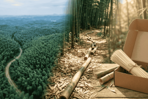 Eliminating Breakage: How the "Middle Cut" Secures Your Supply Chain