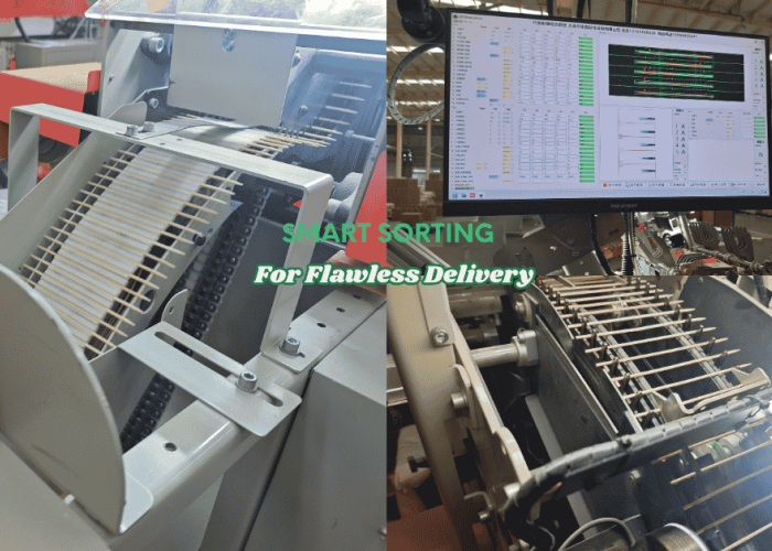 Precision at Scale: How Automated Sorting  Ensure Bulk Bamboo Supply