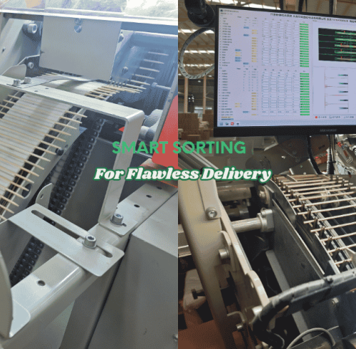 Precision at Scale: How Automated Sorting Ensure Bulk Bamboo Supply