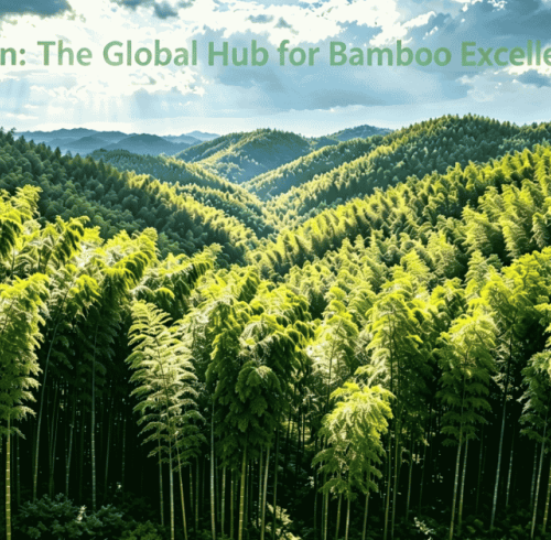 Fujian Leads: China's Bamboo Export Hub Hits New Milestone