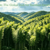 Fujian Leads: China's Bamboo Export Hub Hits New Milestone