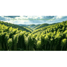 Fujian Leads: China's Bamboo Export Hub Hits New Milestone
