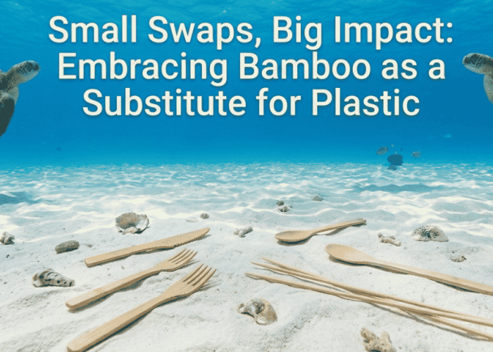 Beyond World Oceans Day: QL Driving Natural Solutions for Marine Eco-Protection