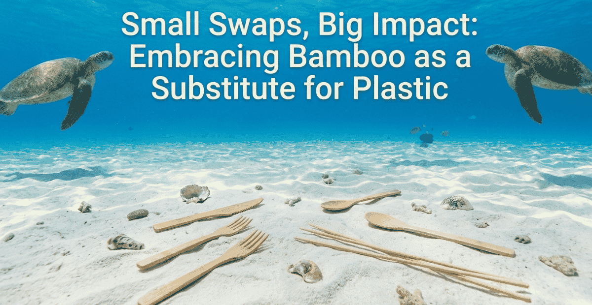Beyond World Oceans Day: QL Driving Natural Solutions for Marine Eco-Protection