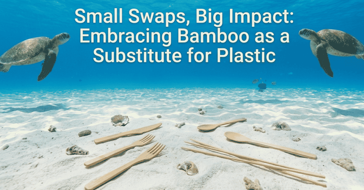 Beyond World Oceans Day: QL Driving Natural Solutions for Marine Eco-Protection