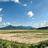QL Expands Manufacturing Base to 88,600 m²
