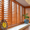 Custom Composite Shutters - Durable & Versatile Window Shutters | The Perfect Blend of Style