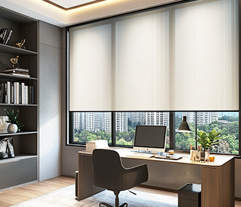 Office Roller Shades