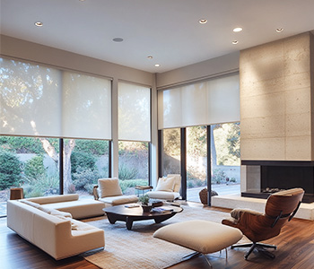 Living Room Roller Shades