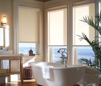 Bathroom Roller Shades