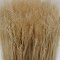 hollow synthetic brush filament | Large Hollow PET Filament | chemical resistant