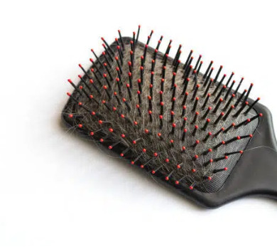Hair Brush Filaments