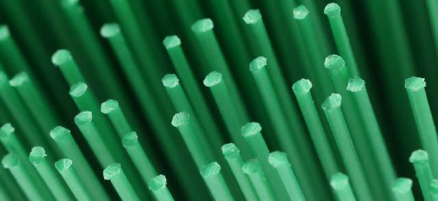 broom bristles